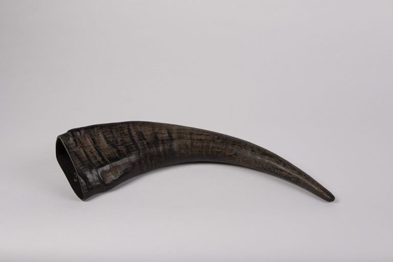 Zu sehen ist eine Fotografie eines Trinkhornes. Das Horn ist das eines Wasserbüffels. Die stark geriffelte Struktur und die braune Färbung sind das Markenzeichen dieses Trinkhornes.  