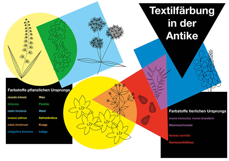 Zu sehen ist eine digitale Infografik über Textilfärbung in der Antike 