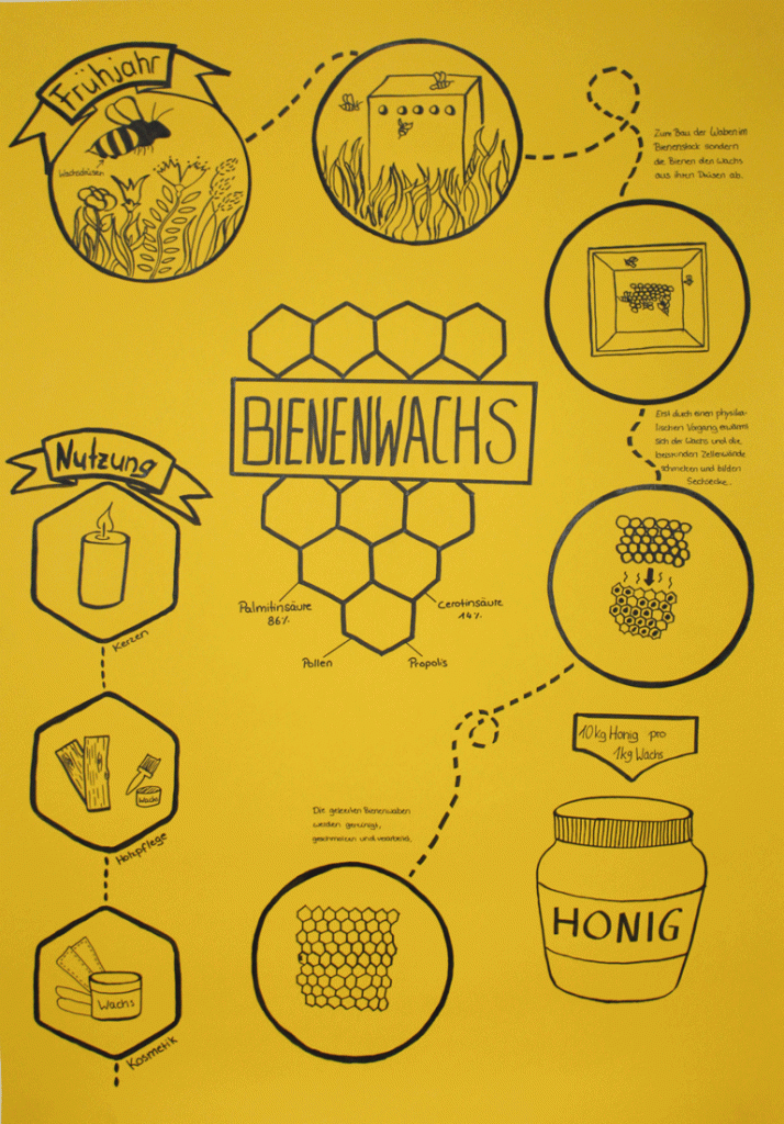Diese Infografik gibt einen abstrakten Einblick in die Produktion von Bienenwachs. Sie zeigt den Weg von der Blumenwiese über die Biene bis hin zum Bau der Bienenwaben im Bienenstock und gibt einen kleinen Ausblick darin, wofür der gewonnene Wachs genutzt wird.
