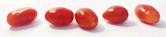 In der Animation bewegt sich ein Mauspfeil in Form einer Hand über eine Reihe Tomaten. Die Tomaten bewegen sich, wenn sie angeklickt werden.