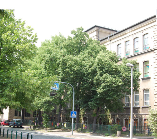 Wilhelm-Wander-Schule Leipzig