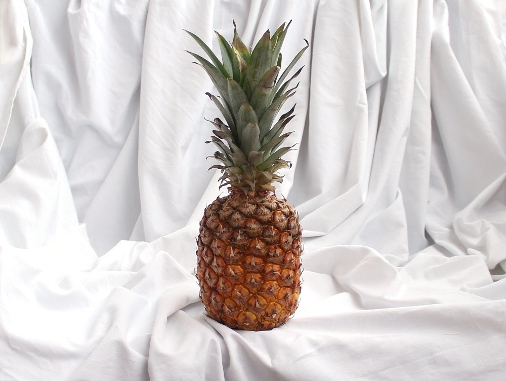 Eine reife Ananas ist vor einem Hintergrund aus weißen gerafftem Stoff zu sehen