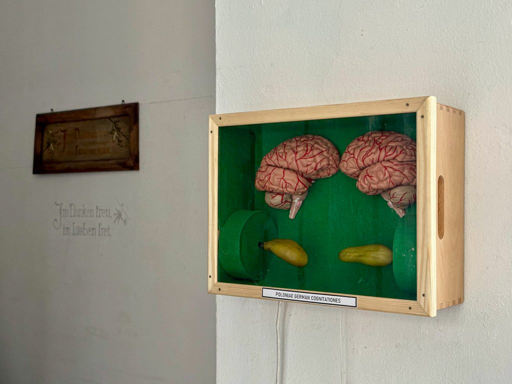 picture from the exhibition Skraj/Am Rand, Galerie Nowe Miejsce, Warszaw Mai 2025