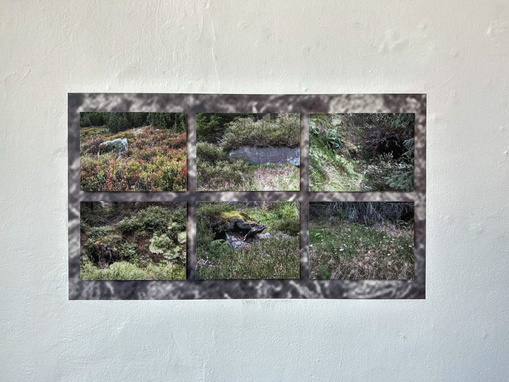 picture from the exhibition Skraj/Am Rand, Galerie Nowe Miejsce, Warszaw Mai 2025